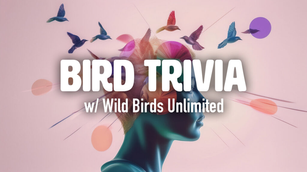 Bird Trivia with Wild Birds Unlimited at Nocterra Brewing